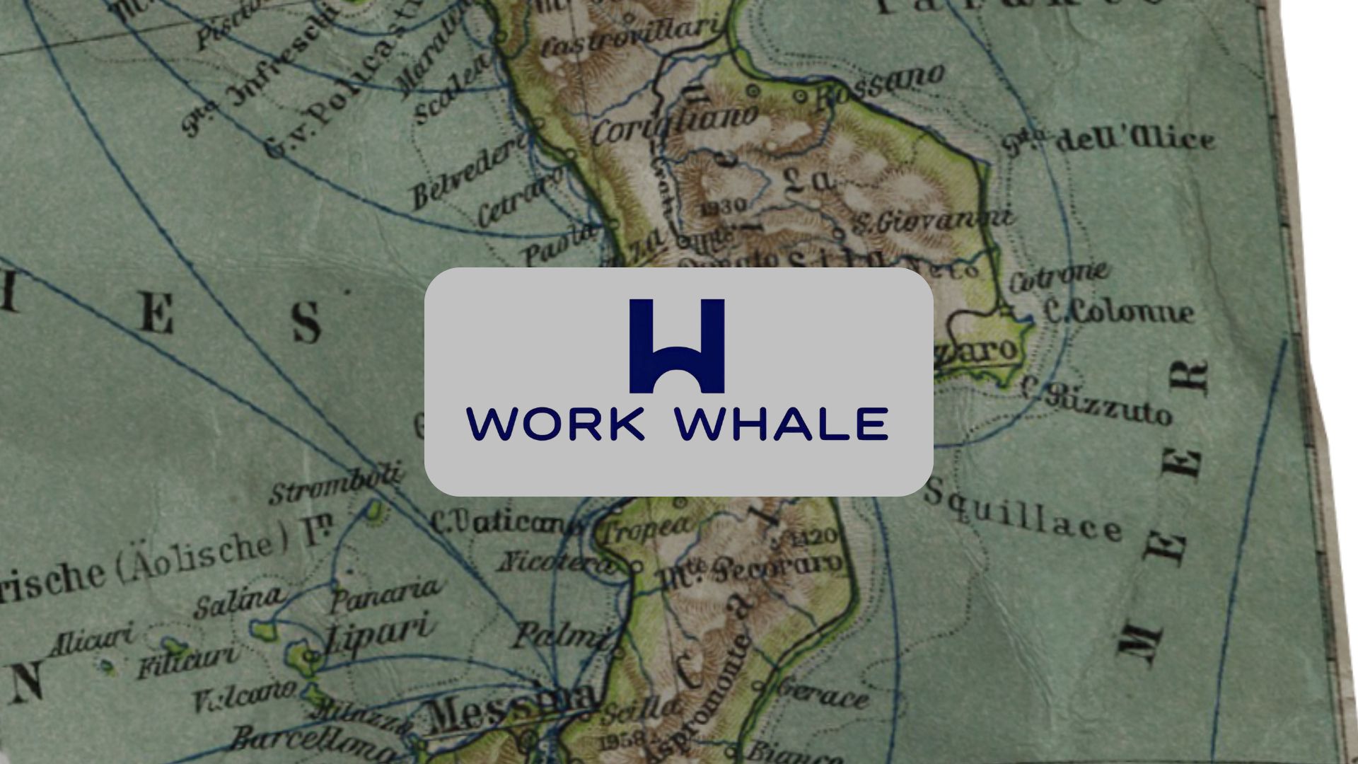 Lợi Ích Của Việc Cập Nhật Thông Tin Profile trên Work Whale