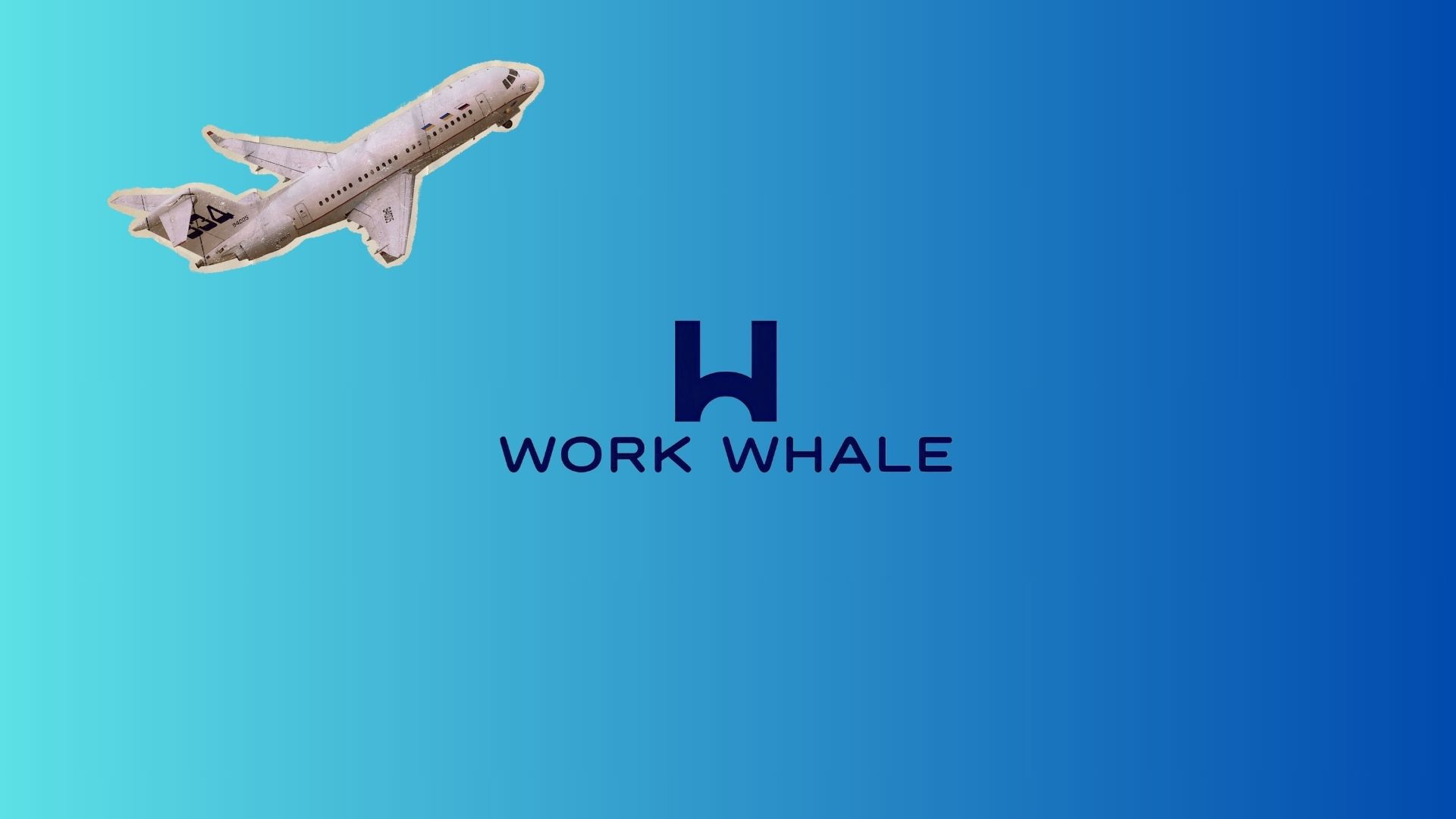 Bí Quyết Tận Dụng Work Whale Một Cách Hiệu Quả