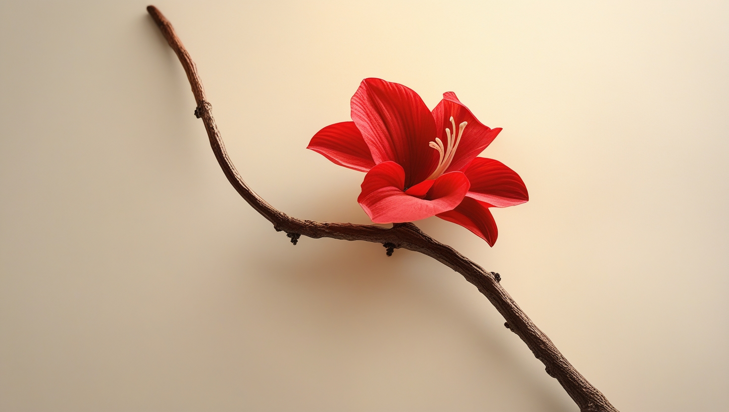 Dịch Vụ Phi Hàng Không Là Gì Góc Nhìn Độc Đáo