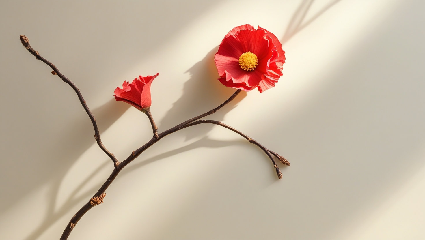 Dịch Vụ Thương Mại Điện Tử Là Gì Tất Tần Tật Bạn Cần Biết!