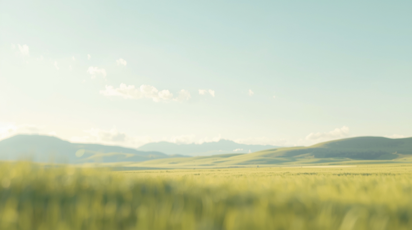 Bốn Cách Để Cảm Thấy Tốt Hơn