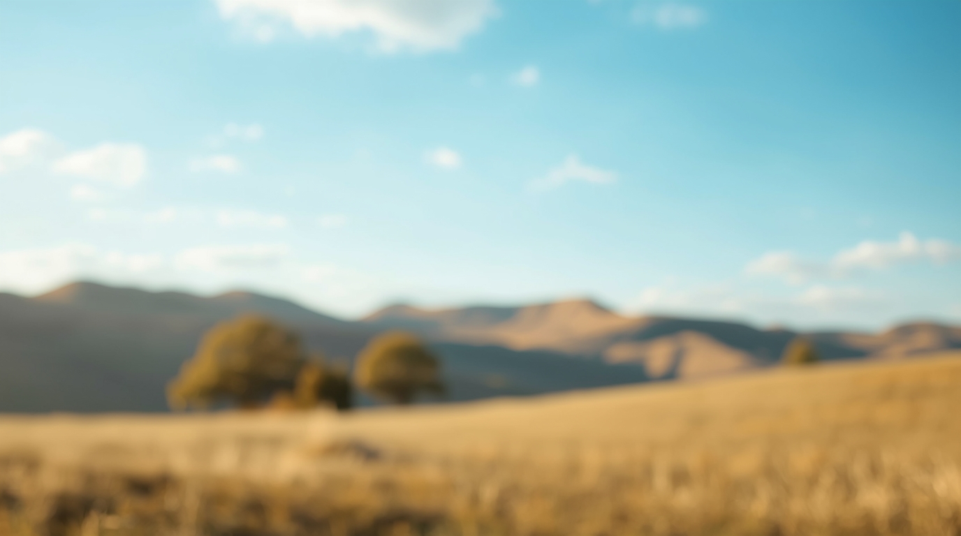 Những Nguồn Tài Nguyên Tuyệt Vời Để Học Lịch Sử