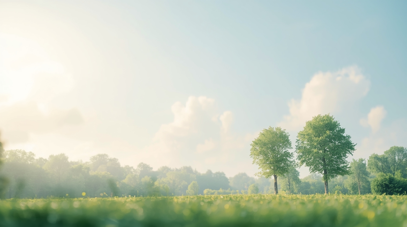 Một Bí Quyết Đơn Giản Để Tìm Ra Ý Tưởng Hay