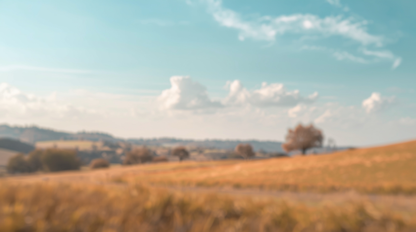 Nguyên Tắc Vững Chắc Để Quản Lý Năng Lượng Của Bạn