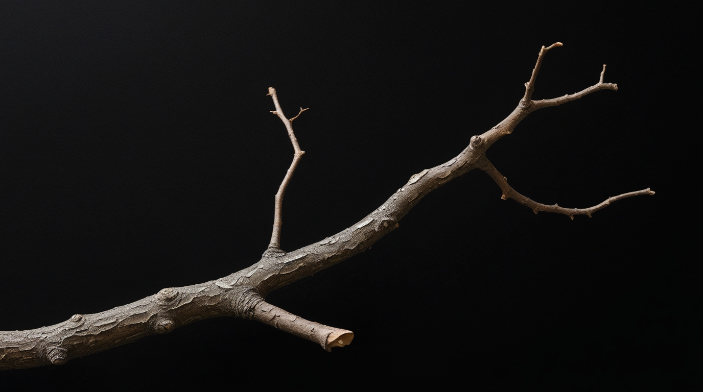 Cách Đặt Ra Mục Tiêu Ý Nghĩa Thay Vì Chỉ “Phải Làm”