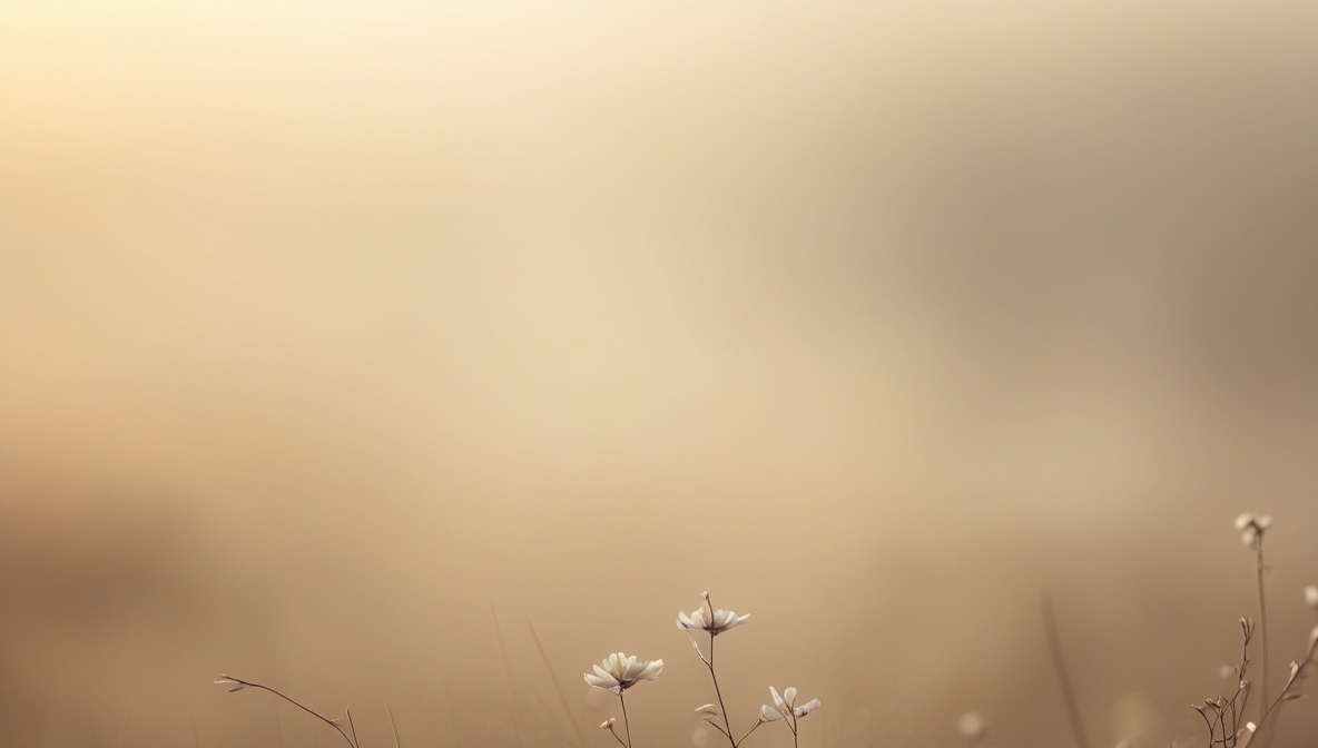 5 Cách Đơn Giản Để Có Một Ngày Làm Việc Hiệu Quả