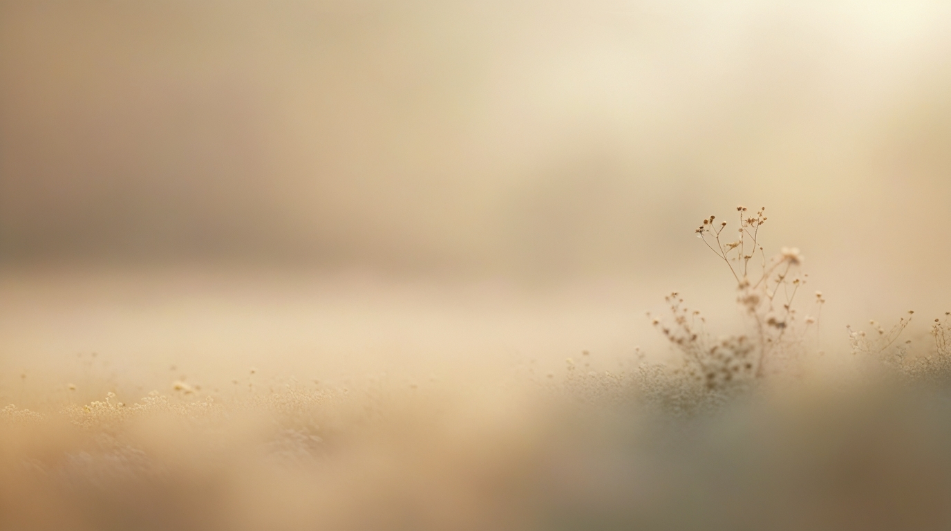 Cách Bất Ngờ Để Tìm Ra Câu Trả Lời Cho Những Vấn Đề Của Bạn