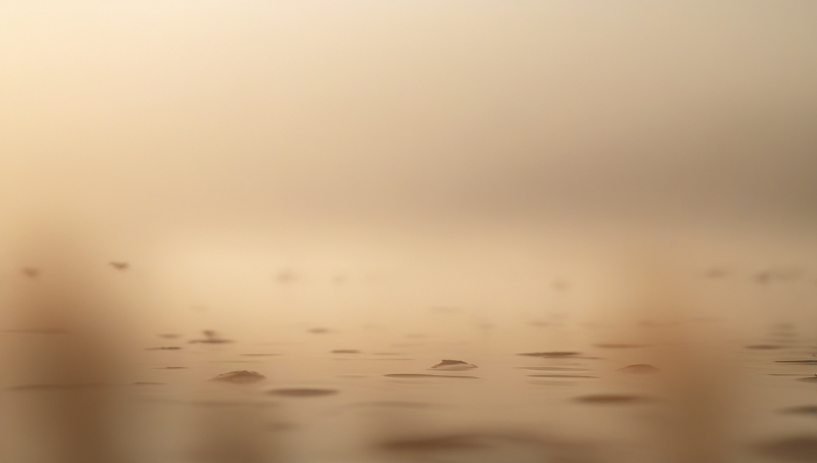 4 Lý Do Rõ Ràng Để Đầu Tư Vào Việc Tự Giáo Dục Bản Thân